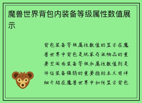 魔兽世界背包内装备等级属性数值展示